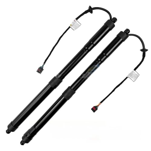 Vérin à gaz mécanique premium pour hayon électrique Hyundai Santa Fe 2014-2018 81771-2W600