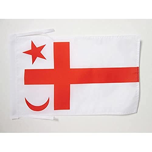 AZ FLAG, Mi'kmaq people Flag, 18'' x 12'', 100% Polyester Micmac Small Banner with Two Cords, Fade Resistant, Vivid Colors