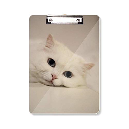 Bloc-notes chat blanc A4 au design Kitty relax et épuré