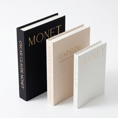HFUHLK Decorative Faux Books for Home Decor, Fake Book Storage Box, Modern Aesthetic Stacked Books for Living Room, Shelf & Table Decor, Multi-Functional Photo Storage Ornament by HFUHLK - Used condition - US$24.82