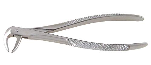 Dental Extracting Forceps #74, English Pattern - Surgicalexcel 85-074 #TOP1