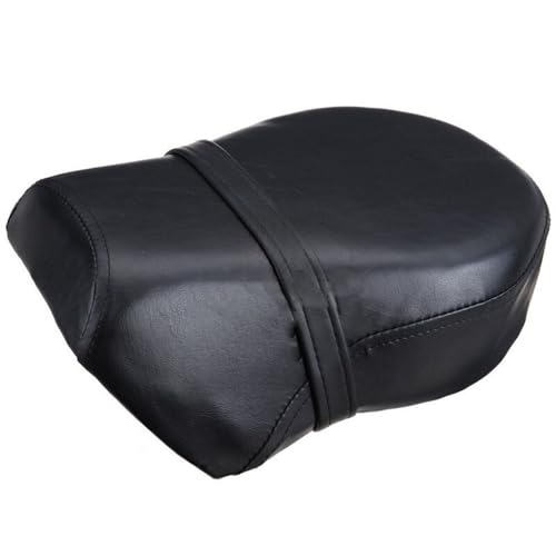 Cojín trasero de motocicleta para rutas en pareja en Sportster Nightster 1200