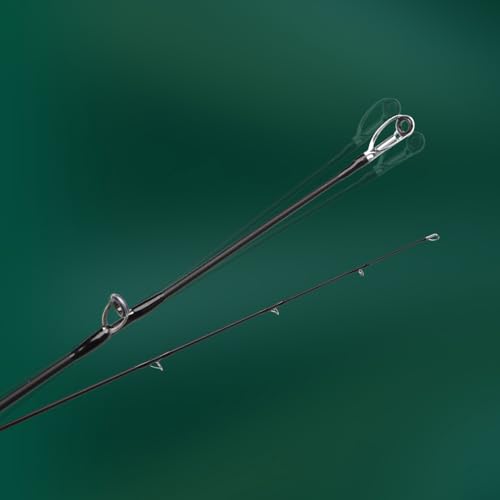 徳田TOWECOTA 雷魚竿 C762XXH-2.28mベイト