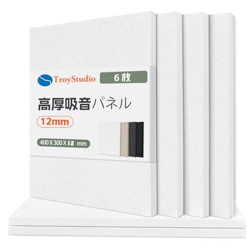 吸音材 吸音パネル 400 x 300 x 12mm 6枚入