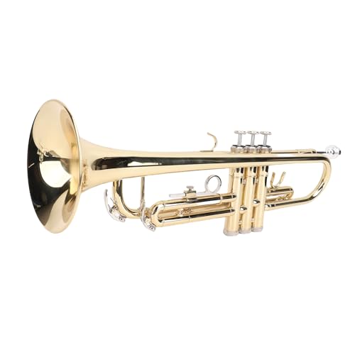 Cornet en laiton Bb instrument de musique clé dorée débutant avec étui SEAFRONT