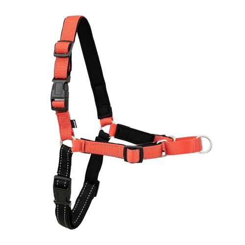 PetSafe Deluxe Easy Walk Harness - Trainer-Trusted Dog Chest Harness with Breathable Martingale Loop Design - Helps Stop Pulling with No Choking & Gagging - Small - Rose