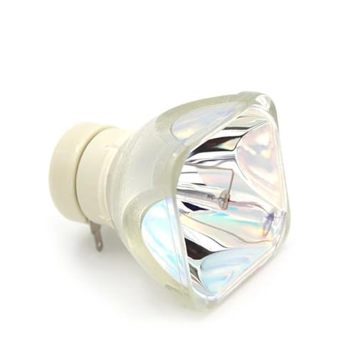 Ampoule de projecteur LMP E211 : résolvez l'écran noir sur VPL EX120 EX100 EW130 BW120S