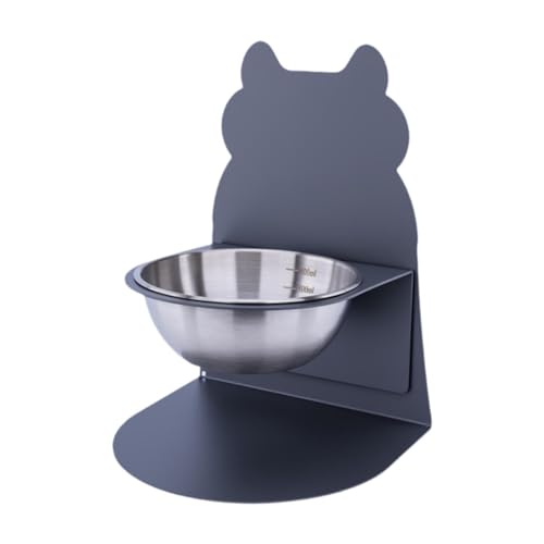 Qialexicon 猫用フードボウルと水入れ、ペット用スナック容器付き, グレーシルバーボウル