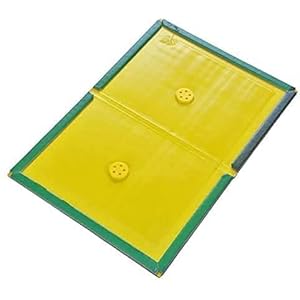 PH-distributiepakket van 5 x multi-use ongedierte Sticky Board | Efficiënt pak lijmplanken | Effectief voor thuis, kantoor en tuin – A4-formaat Heavy Duty – 100 mm dik elk