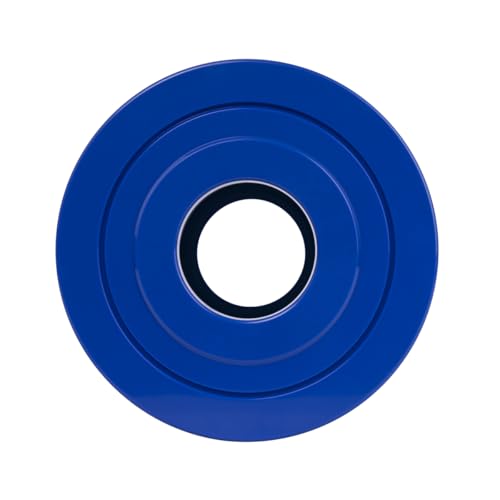 Filtre spa Watkins 31114 pour retrouver une eau limpide