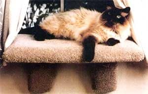 Large Padded Cat Window Perch : Color Speckled Sand : Size Large Perch