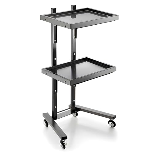 Carrello per parrucchiere, in acciaio inox, a 2 ripiani, con ruote, per trattamenti e servizi per parrucchieri, spa e barbieri