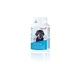Tierarzt24 AGIL Senior unterstützt Hunde im Alter - Leckere Tabletten für Gelenke, Zähne, Herz und Gedächtnis. Mit Ginkgo-Extrakt und MSM - 60 Tabletten (120 g)