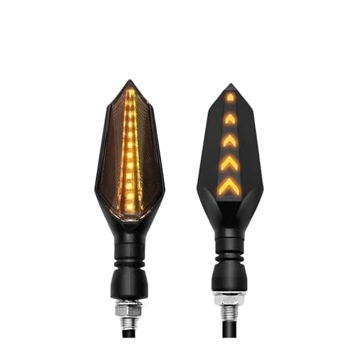 Clignotants de moto à LED pour Road King lors de vos virées