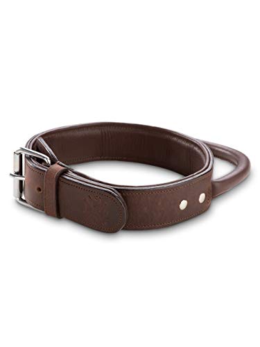 Jack & Russell Premium Leder Hunde Halsband mit Haltegriff - Leder Hundehalsband mit Ledergriff - Echtleder Halsband mit Griff - stabiles Büffelleder Jack (L)