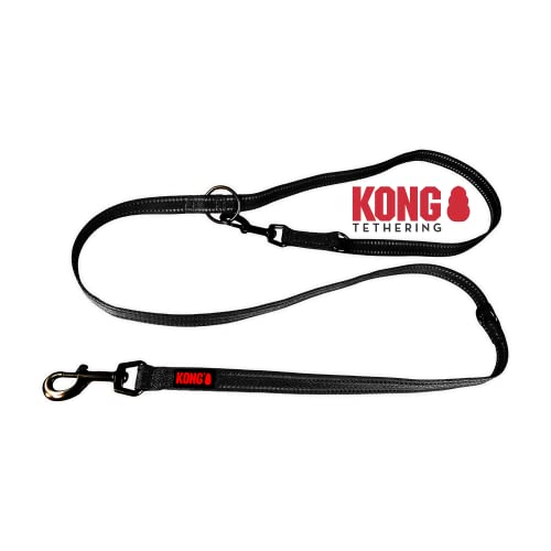 KONG Cinghie di base per cani cinghia regolabile L nero