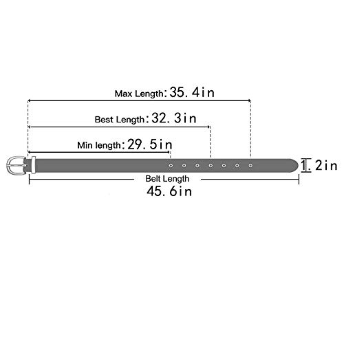 Labanca Women Cow Print Pu Leather Belt Vintage Zebra Snake Print Decorative Waistband For Jeans Pants Dresses #TOP2