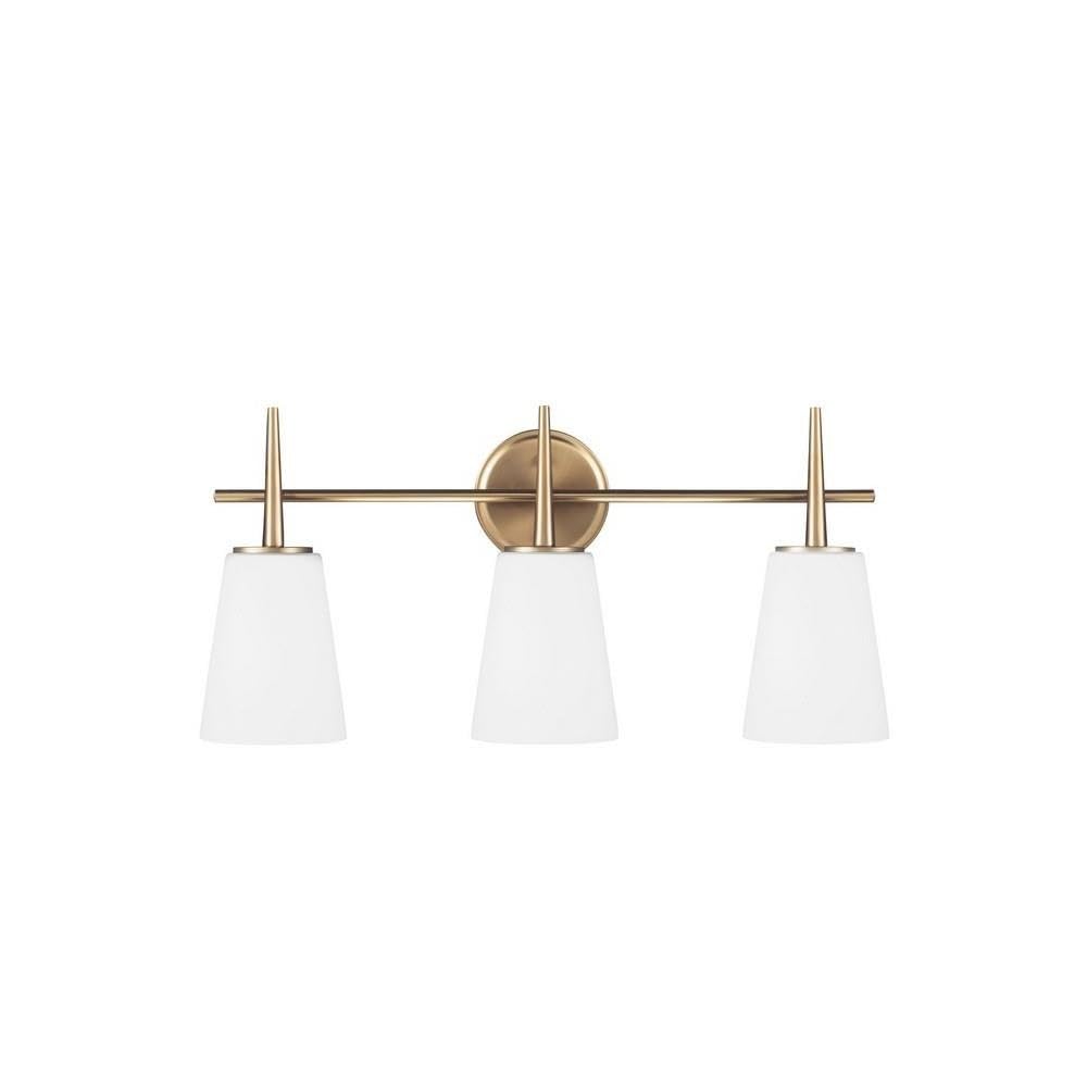 Sea Gull Lighting 4440403-848 Driscoll Three Light Wall / Bath Vanity Style Lights, Satin Bronze Finish