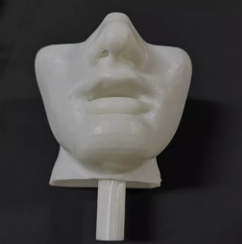 Entraîneur de bronchoscopie de taille réelle AMITD mannequin éducation médicale - 5
