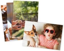 A N 4x6 Size 100 Sheets 4x6 inches Photo Glossy Sticker Paper, Easy Peel-Off Cut, Adhesive Blank Sticky Sheets for Laser, Copier, Inkjet Printer and Writing with Pen/Pencil DIY 1