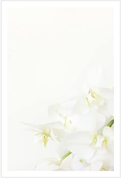 Amazon | 弔事用 絵柄のみ 10枚 切手付き官製ハガキ アルファ