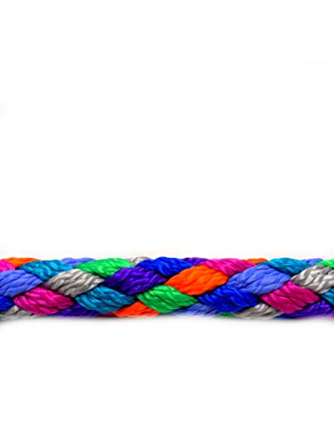 Hundeleine kleine Hunde bis 15 Kg/Doppelleine 4-Fach verstellbar 2,40m / 2,80m / 3,50m Führleine sehr leicht & robust (2,40m 3-Fach verstellbar, Florida (7 Pastellfarben))