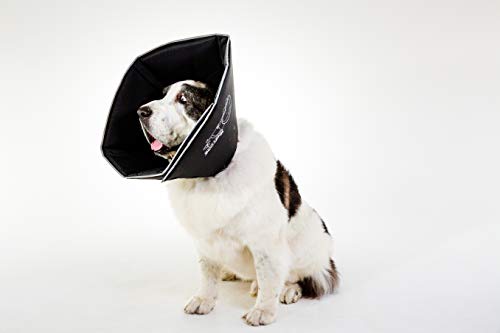 All Four Paws „The Comfy Cone“ Halskrause für Haustiere,XX Large