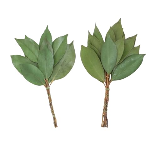 _I̗ _I  _a  vU[uh ~j 1  _    _