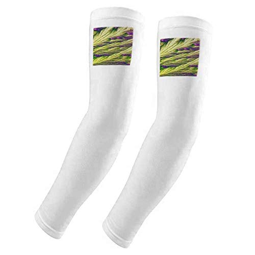 Guante con diseño de plumas para evitar quemaduras por rayos UV solares