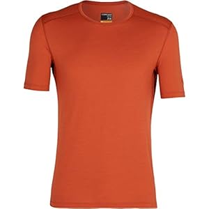 Icebreaker 200 Oasis Ss Crewe heren T-shirt