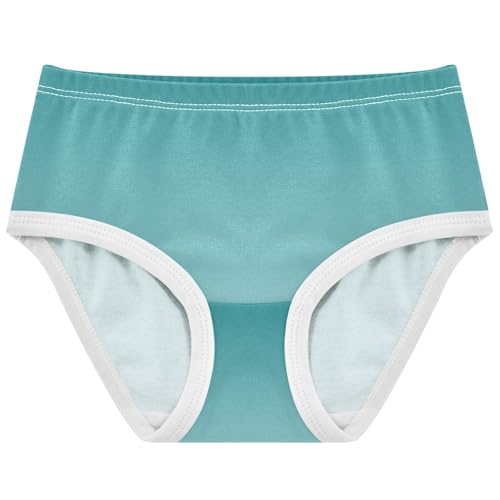 Joisal Girls Underwear Toddlers 2t Cotton Little Girl Panties Colorful Briefs Kids Undies Teal Blue Powder Gradient