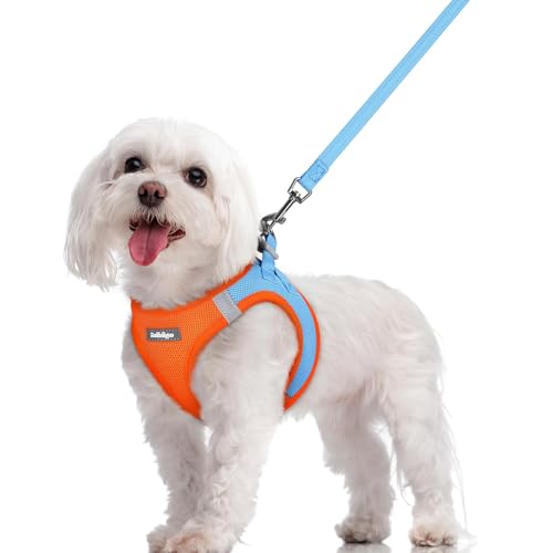 rabbitgoo Step-In Mesh Harness & Leash Set (Blue & Orange, M)