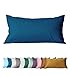 SALAD HOUSE Kissenbezug 40 x 80cm, 400TC 100% Baumwolle Satin Superweicher Kopfkissenbezug Kissenhülle Ägyptische Extra-Langstapeliger Pillowcase (Pagoda Blue mit Reißverschluss