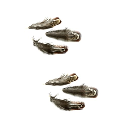 Plumas de Faisán Operitacx Evita Sintéticos en Atrapasueños con 200 Piezas Naturales