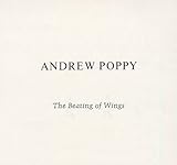  The Beating Of Wings