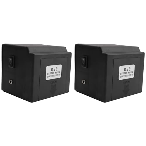 Deechate 2X 3V Grill Barbacoa con Motor Rotisserie Rotativo BBQ Escupir Velocidad de Salida BBQ Piezas de Motor Barbacoa Herramienta Accessories Batería para el Hogar Piezas de Cocina