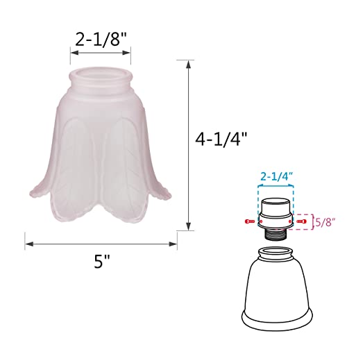 Aspen Creative 23102-4A Transitional Pink Rose Leaf Ceiling Fan Replacement Glass Shade, 2-1/8" Fitter Size x 5" Diameter x 4-1/4" Height, 4 Pack by Aspen Creative - Image 3