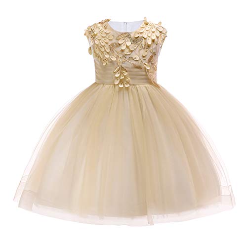 Baby Girl Flower Lace Party Baptism Dress Kids Birthday Wedding Evening Princess Dance Pageant Formal Ball Short Gown Champagne 2T / 3T