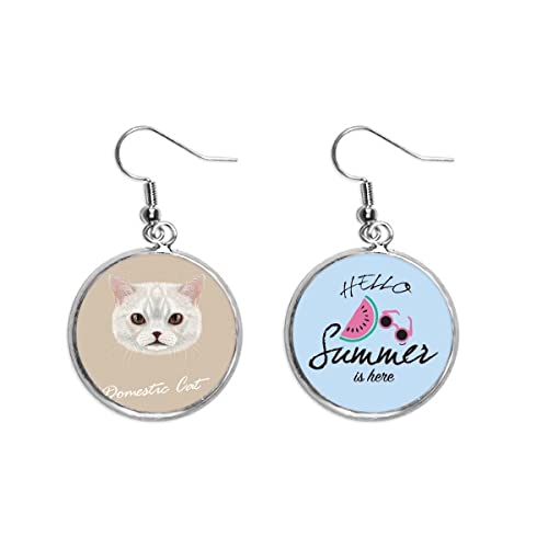 Pendientes de gato doméstico animal y sandía de verano para lóbulo