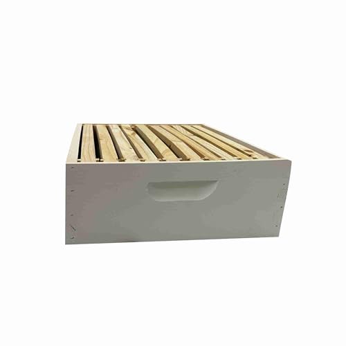 Caja de miel mediana Harvest Lane con cuadros y base miniatura 2