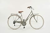 City Bike da donna ruote 28