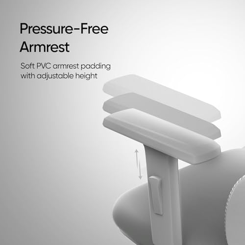 Image of AeroMesh Ergo Chair, Adjustable Armrests & Headrest, Lumbar Support, Breathable Mesh Back Fabric, Customizable Seat Depth & Height, Office Chair,120 kg Capacity- Grey