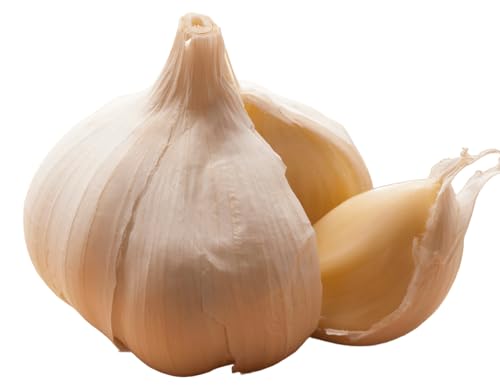 青森県産にんにく物語 Lサイズ 1kg