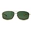 2025 Gold Frame Green Lens