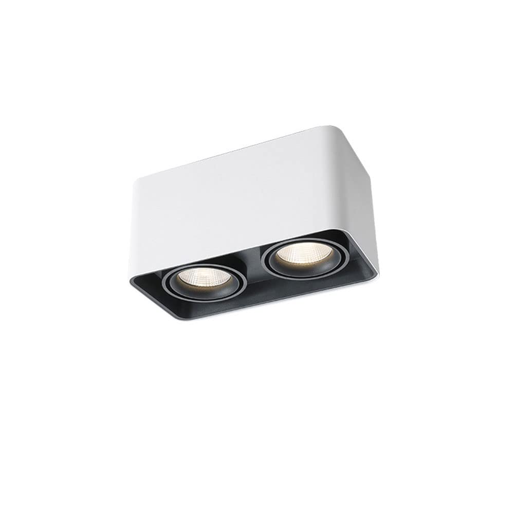 2-Lights LED Ceiling Light Aluminum Anti-Glare Ceiling Lights Irradiation Angle Adjustable Ceiling Lamp Surface Mounted Ceiling Light Fixture for Shop Corridor Living Room