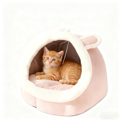 h[^LbgnEX ʋC Lʗp ybgQ (M,sÑETM)