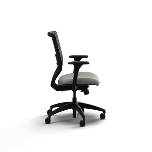 Image of HON Solve Office Chair, Ergonomic Office Chair Mesh Back Support, Adjustable Lumbar Support, Height Adjustable Arms, Black Frame, Fog