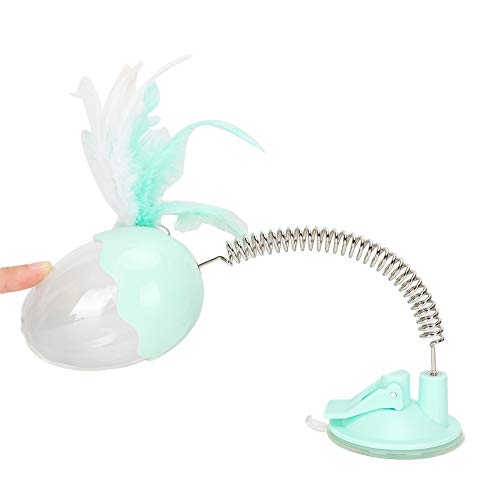 banapoy Brinquedo de mola para gato, casca de ovo transparente de plástico fino acabamento, brinqued