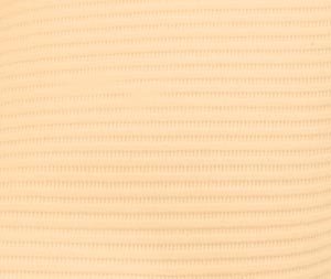 Crosstex WTXBG Professional Regular Patient Towel, 3-Ply Tissue, 19" x 13" Size, Beige (Pack of 500)