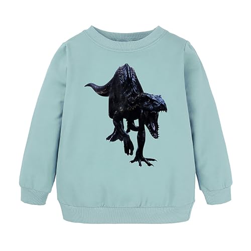 Sweat-shirt à capuche dinosaure pour garçon et fille en coton confortable
